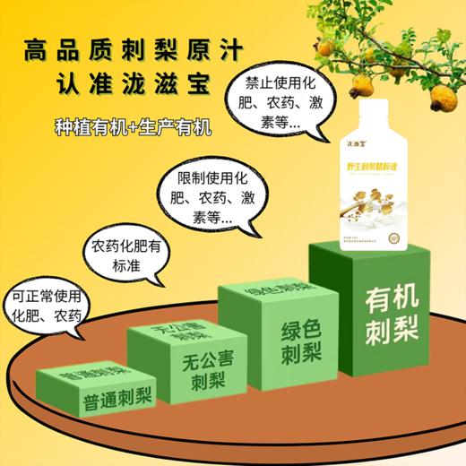 【双有机野生刺梨汁】来自贵州的“长寿果” 肠胃小帮手，天然鲜萃，野生双有机，开袋即食补充营养更方便 商品图1