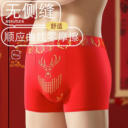 新热卖！2026红马年【天材四宝红内裤】人参 虫草 海马 鹿茸 精美礼盒 独立包装！ 商品图8