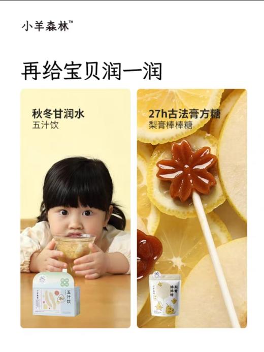 【小羊森林-春节零食套组】儿童零食健康小吃营养孩子（包含礼袋） 商品图3