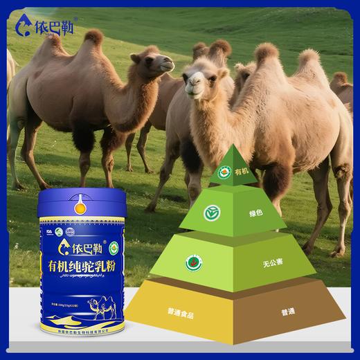 自营（依巴勒）-有机纯驼乳粉 商品图5