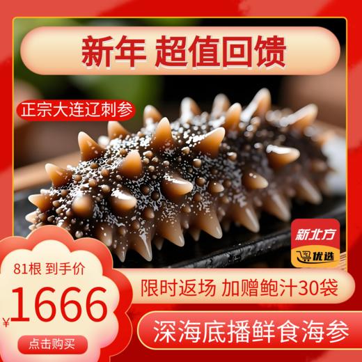 【新年开门红】大连辽刺参超值回馈组合 到手81头 商品图0