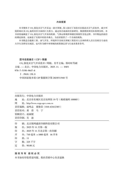 CO2强化页岩气开采技术 商品图3