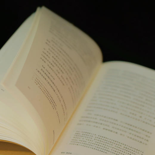 新译西方古代美学经典 商品图2