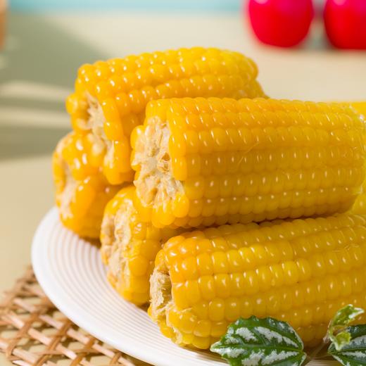 广西黄金甜玉米【29元购】丨 甜嫩多汁 口感鲜香 早餐代餐 商品图0