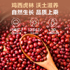 1号会员店有机东北红小豆1kg 红豆新货农家 粗粮五谷杂粮豆沙 /粮油调味 /杂粮 /杂豆类 商品缩略图0