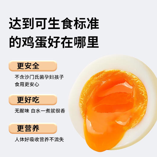 可生食鸡蛋30枚1.5kg大蛋 商品图2