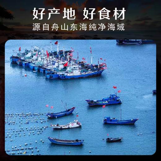 【春节不打烊】舟山海鲜零食礼包 特产海鲜干 方便即食 烤制非油炸 商品图3