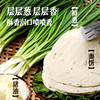 【99元任选6件】葱油饼450g*1+鸡排80g*1 商品缩略图4