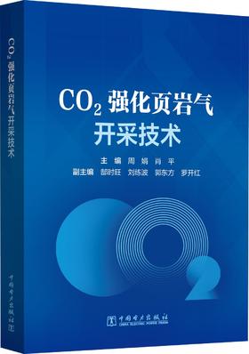 CO2强化页岩气开采技术