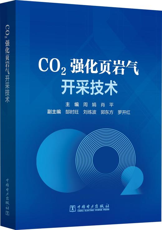 CO2强化页岩气开采技术 商品图0