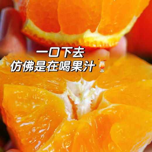 【赣南脐橙】果肉饱满营养丰富  细嫩化渣口口爆汁  好产地好水果  到手十斤 商品图3