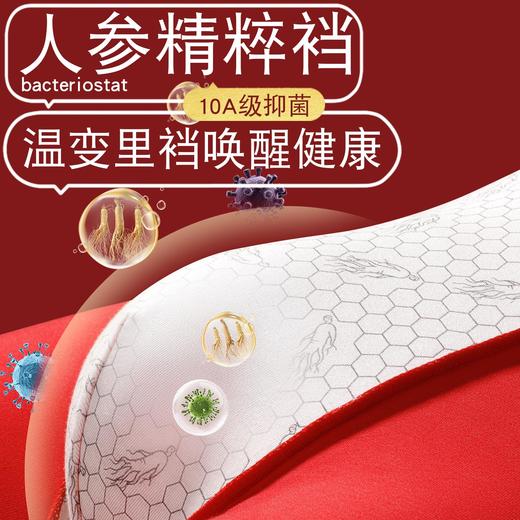 新热卖！2026红马年【天材四宝红内裤】人参 虫草 海马 鹿茸 精美礼盒 独立包装！ 商品图5