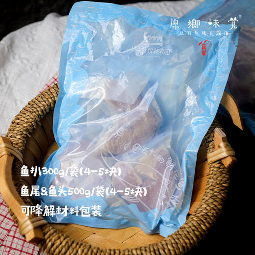生态鲟龙鱼（基地直发-顺丰空运）|多种规格，来自广州韶关，生产者：广东瓢虫【合作生产，公平贸易】 商品图3