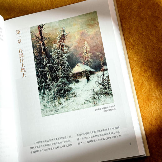 漫步白桦林 插图本俄罗斯艺术史 精装 俄罗斯文化艺术史研究专家贝文力 商品图2
