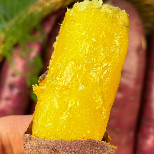 [最农公社]精品主推|扬州美人薯香甜软糯3斤5斤中小/中大果（烤蒸俱佳） 商品图3