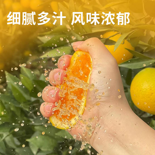 【赣南脐橙】果肉饱满营养丰富  细嫩化渣口口爆汁  好产地好水果  到手十斤 商品图2
