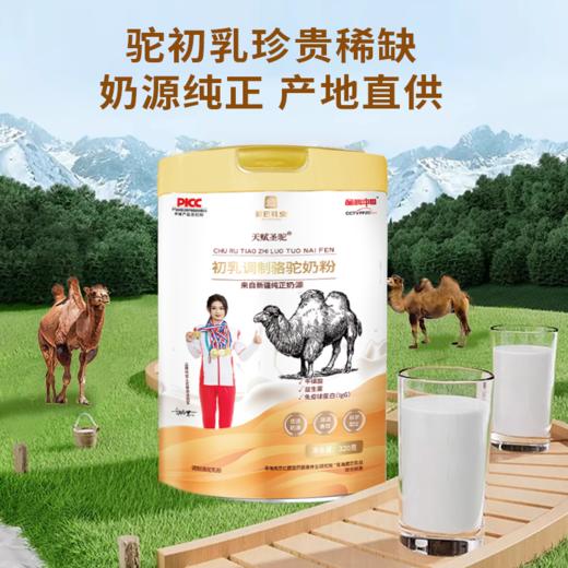【GJ链接请勿用!!!】【天赋圣驼初乳配方骆驼奶粉】甄选新疆奶源，珍贵驼初乳，香浓营养，全家人的能量补给！ 商品图2