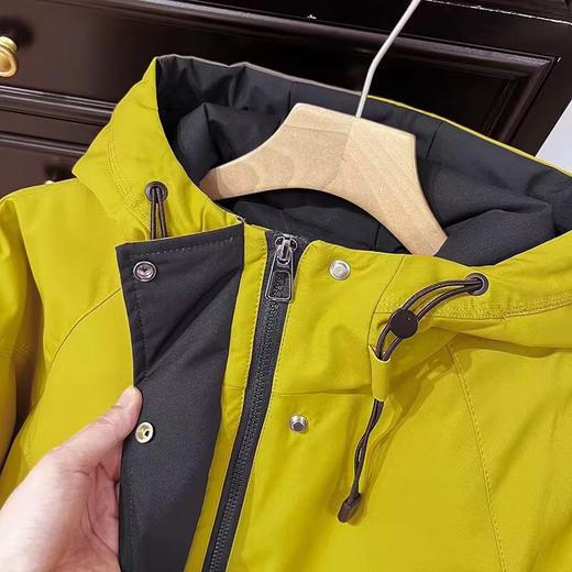 F010429连帽新款加绒保暖休闲羊羔毛派克服外套休闲服 商品图9