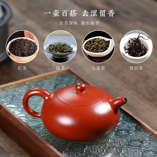 宜兴紫砂壶丨半月 原矿朱泥大红袍 280ml 礼盒配手提袋证书 泡茶壶百搭各类茶叶 商品图2