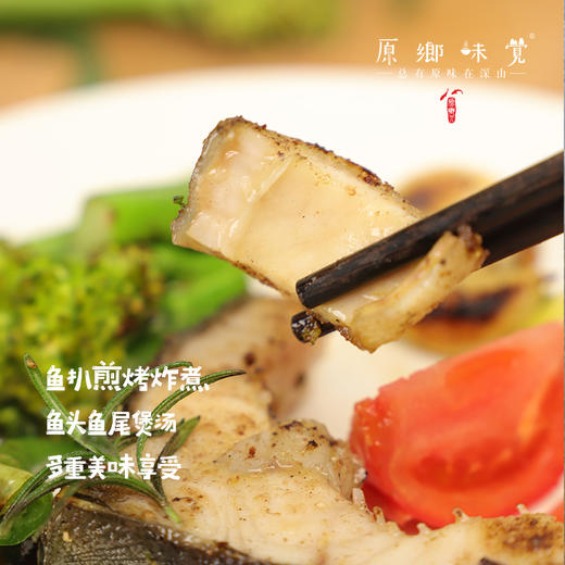 生态鲟龙鱼（基地直发-顺丰空运）|多种规格，来自广州韶关，生产者：广东瓢虫【合作生产，公平贸易】 商品图2