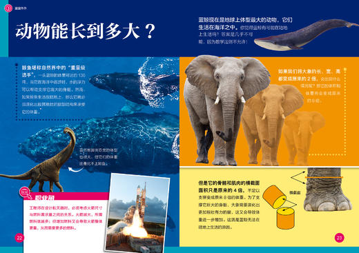 【9岁+】《了不起的数学》 商品图3