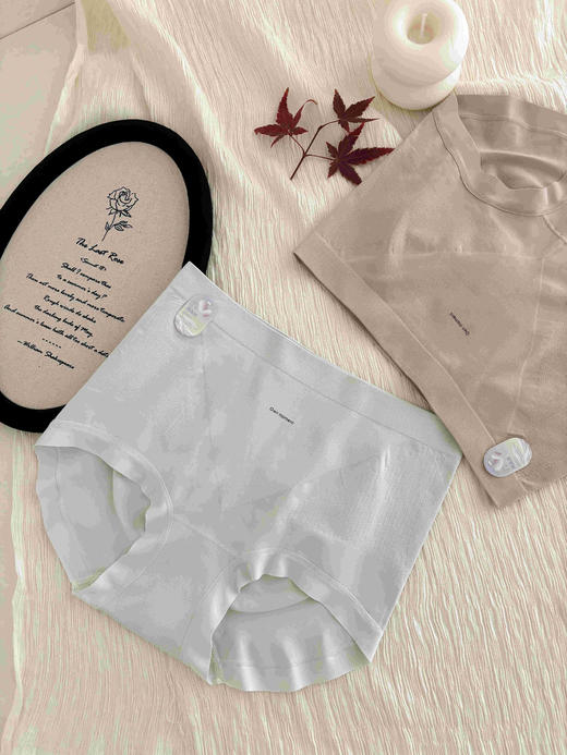 女士裸氨舒适透气高弹力无缝内裤三角裤0328 商品图2