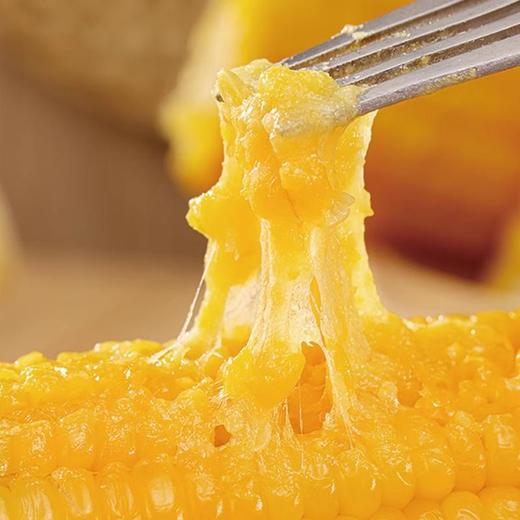 【鹿大叔有机糯玉米】颗颗饱满 软糯拉丝 有机健康玉米 老人孩子都爱吃 商品图4