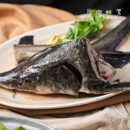 生态鲟龙鱼（基地直发-顺丰空运）|多种规格，来自广州韶关，生产者：广东瓢虫【合作生产，公平贸易】 商品图4