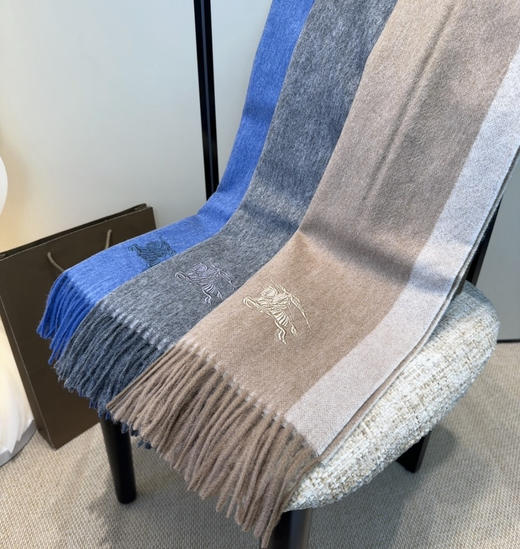 秋冬特惠💰280 巴宝莉男女围巾 商品图3