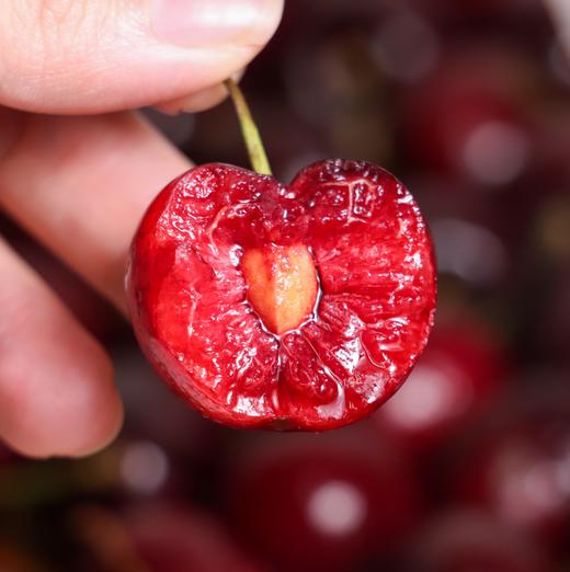 智利车厘子【89元购】丨果肉细腻多汁 个大肉脆 商品图6