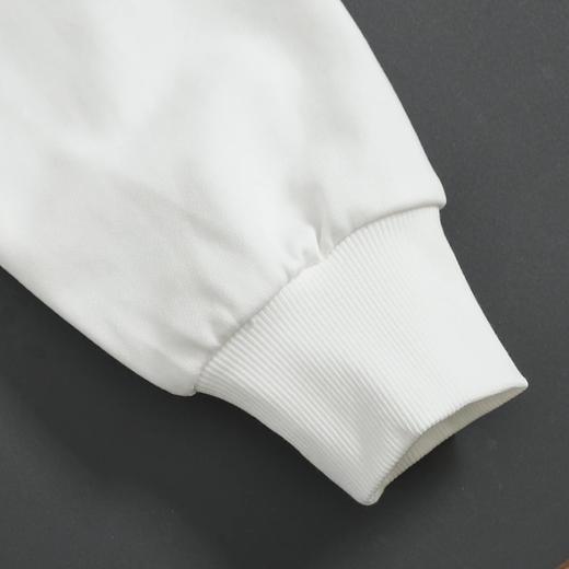 F010410重磅纯棉水洗面料字母刺绣休闲圆领卫衣 商品图7