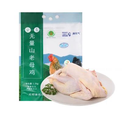 无量山散养400天老母鸡1.2kg【021】 商品图0