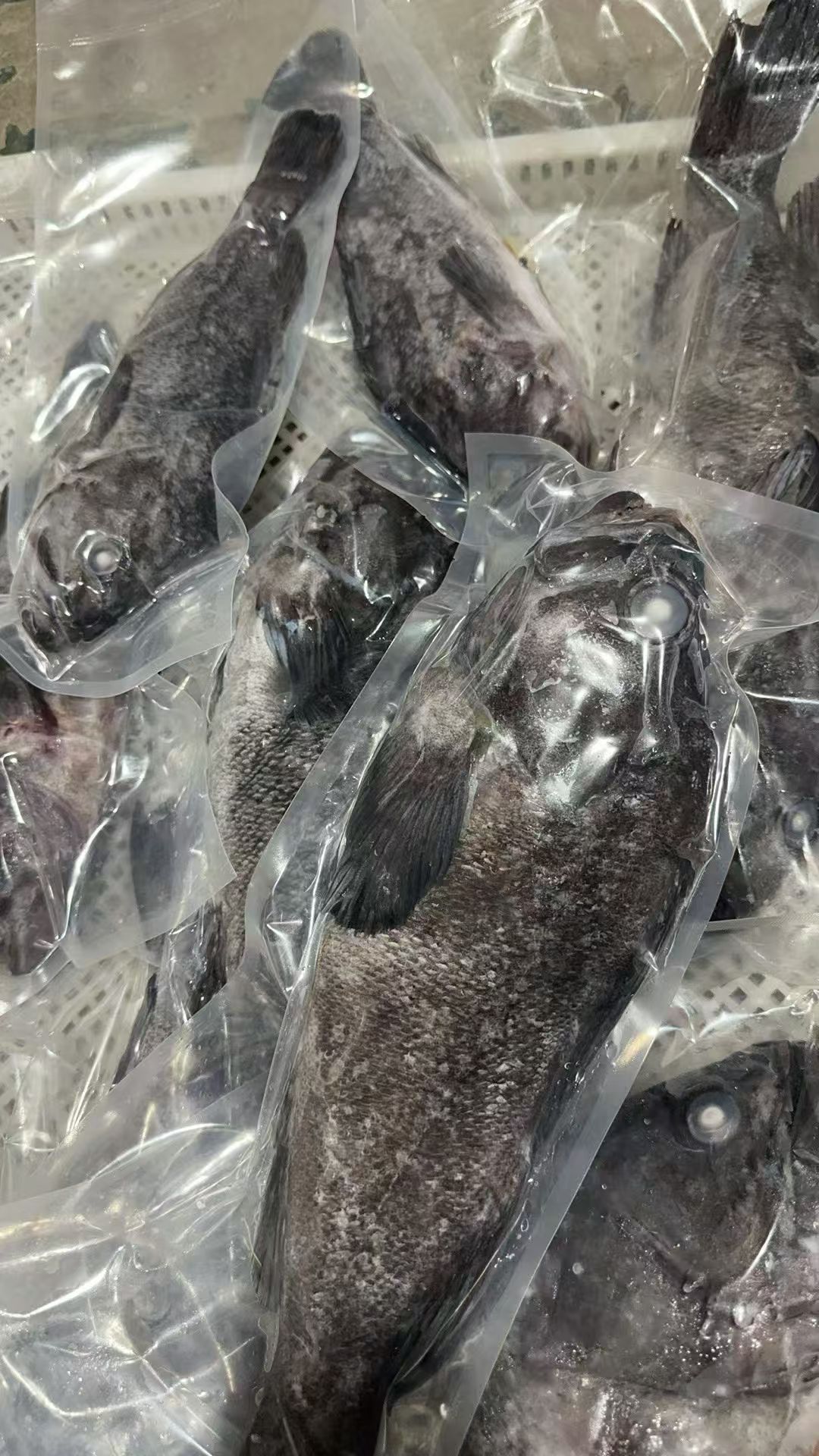 大连野生海捕船冻黑鱼，新鲜度特好。做水煮鱼，炖，红烧，煲汤，可鲜了，营养价值特别丰富。3-4斤/条。东三省包邮。