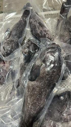 大连野生海捕船冻黑鱼，新鲜度特好。做水煮鱼，炖，红烧，煲汤，可鲜了，营养价值特别丰富。3-4斤/条。东三省包邮。