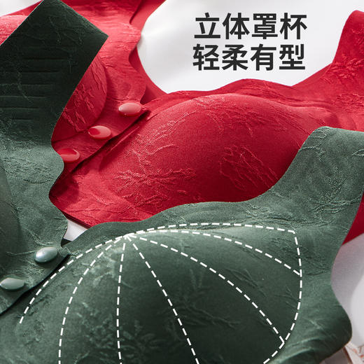 【舒服法则】青竹雅韵・国风提花文胸【2188】 商品图5