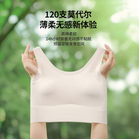 【舒服法则】120支新款少女背心二三阶段【8556】