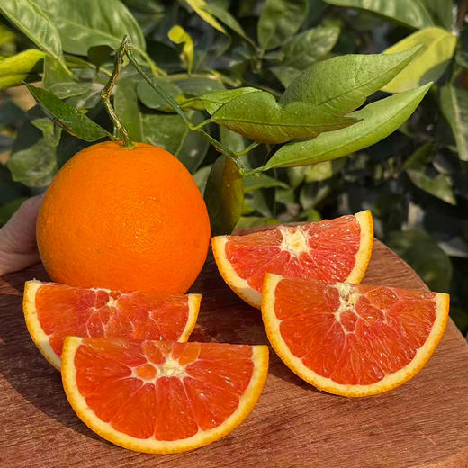 【下单5斤装加赠2斤】新鲜水果 果肉红润 中华红血橙/九月红脐橙 大果70mm-75mm  5斤装/9斤礼盒装  商品图3