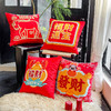 【品牌直发】加倍生活 国潮马年RICH沙发抱枕 6色可选 45x45cm 小马新年喜庆节日团购礼品靠垫抱枕  马年限定系列 春节焕新季 商品缩略图3
