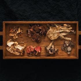 云南纯野汤菌集：八种本土野生菌 原始森林的记忆被收录在每朵蘑菇里（云南昆明中通发货）