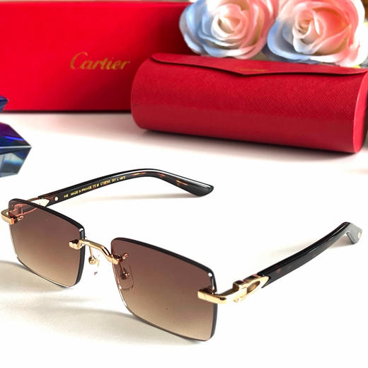 秋冬特惠💰290 卡地亚眼镜 太阳镜 Model:CT0579S SIZE:57口19-145 商品图4
