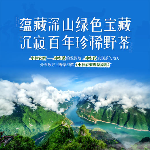 正山堂巴东红 小神农架野茶年货限定版礼盒装 官方正品特级红茶送礼 商品图4