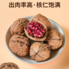 硕果田间·精品红衣核桃｜稀缺红衣款，核桃仁饱满香甜，比普通核桃营养高太多了  商品缩略图2