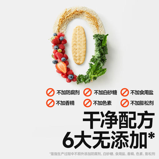 秋田满满有机婴幼儿胚芽米饼（羽衣甘蓝菠菜)32.8g 商品图4