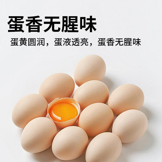 可生食鸡蛋30枚1.5kg大蛋 商品图3