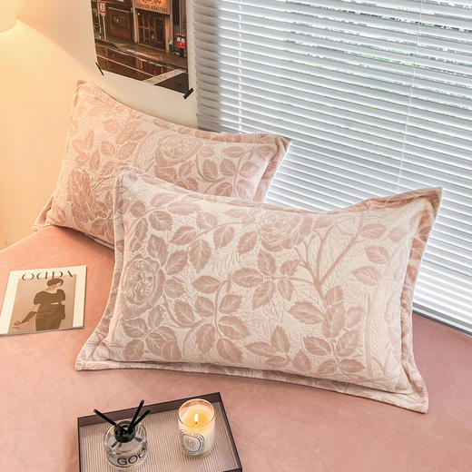 三泰龙 A类牛奶绒床上四件套冬季雕花保暖厚被套床单 商品图3