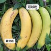 云南芝麻蕉【29元购】新鲜直供 香甜软糯 舌尖直入心窝 商品缩略图3