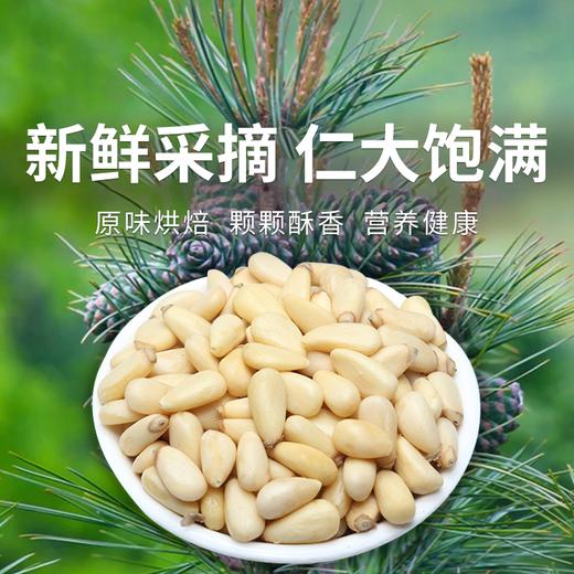 【九鑫山珍野生红松仁】甄选每一粒野生松仁  原味烘焙  入口香脆  回味悠长 商品图0