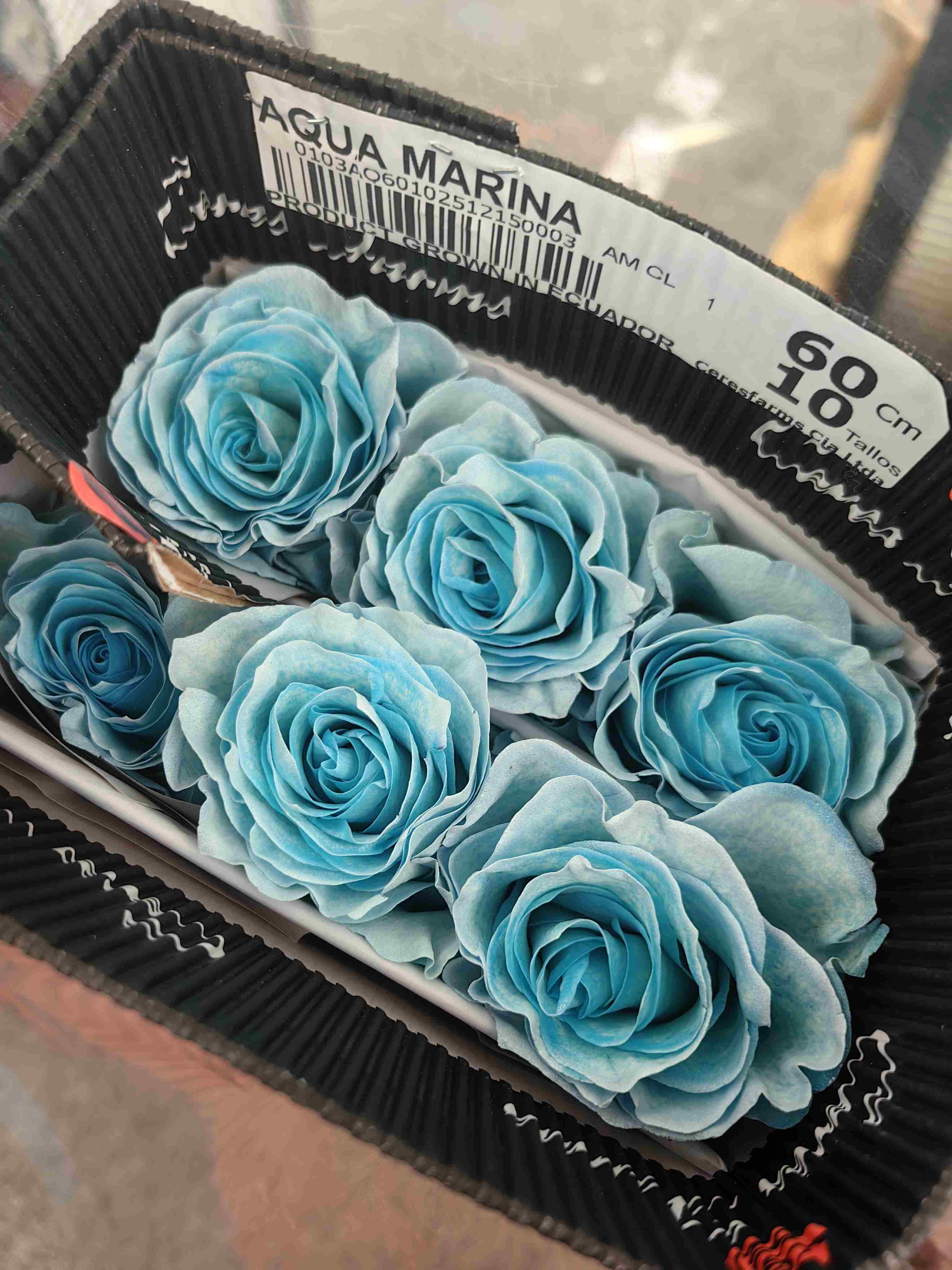 厄瓜多尔进口染色玫瑰花AQUA MARINA海洋之水10支