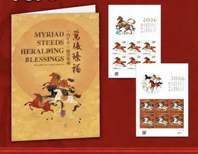 马年生肖邮票小版票（带折）