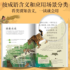 《分类成语故事》全5册   5-17岁  160个成语故事  覆盖多个领域 积累作文素材 商品缩略图3